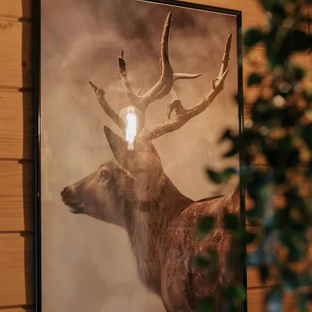 Wichrowa Horská chata Joniec